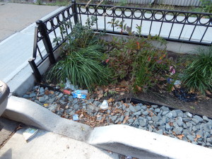 Trash collected in a bioswale on Story Avenue by Colgate Avenue
