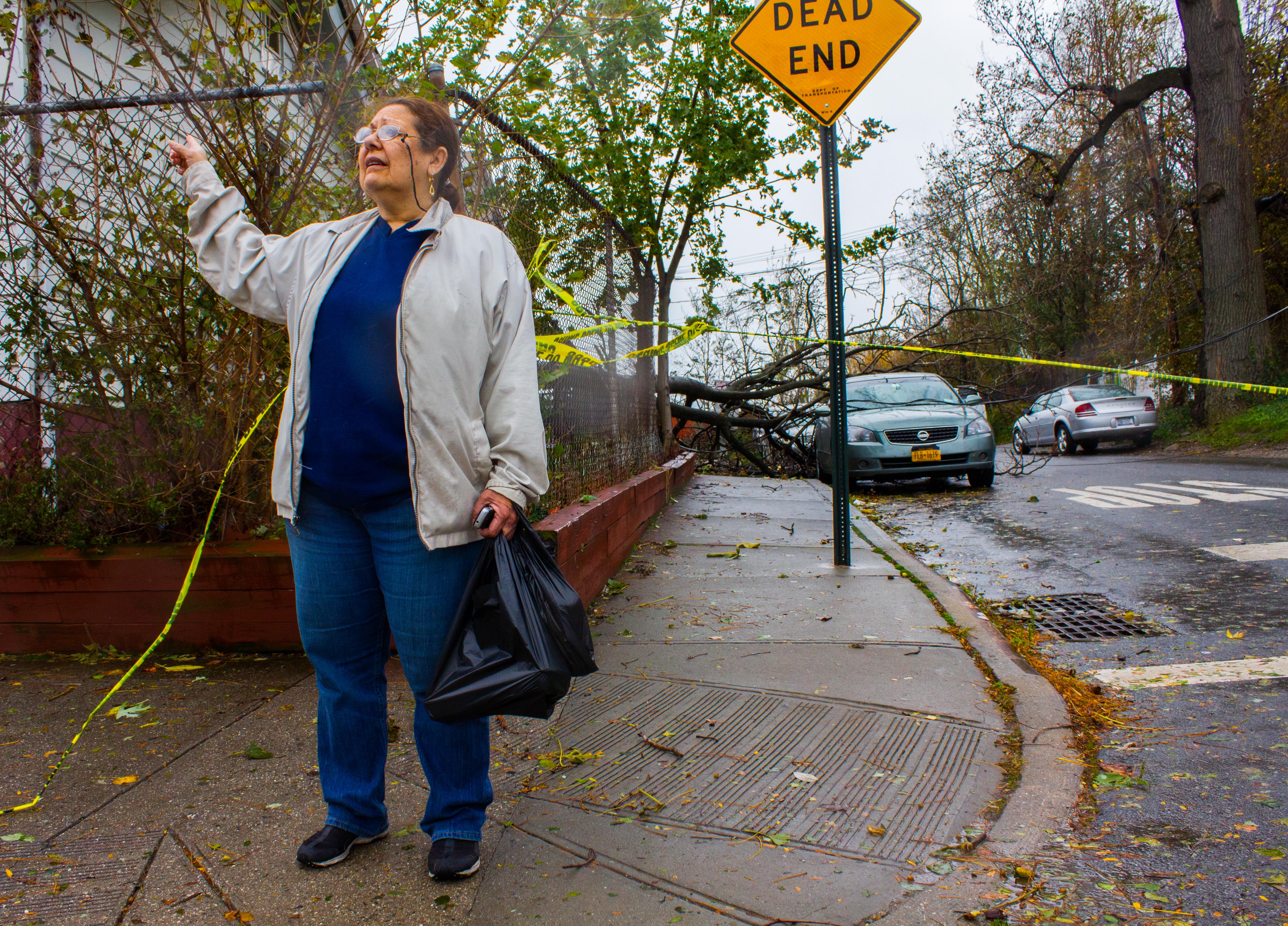 Hurricane Sandy Hits the Bronx