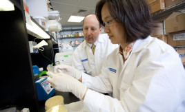 Research at Montefiore seeks to advance treatment of pancreatic cancer